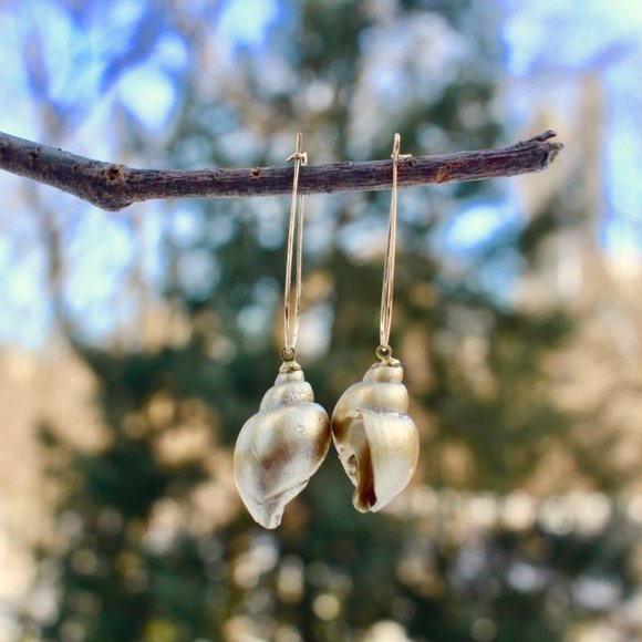 NEW Shell gold drop hook dangle conch earrings - Picture 6 of 12
